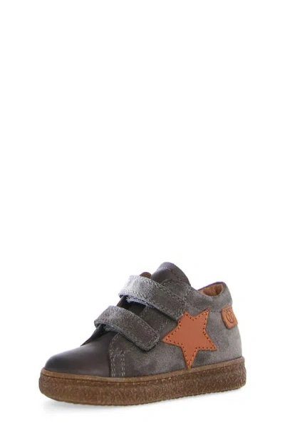 Naturino Kids'  Albus Star Sneaker In Anthracite/copper