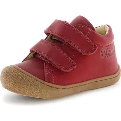 Naturino Kids'  Cocoon Sneaker In Multi