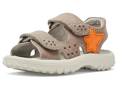 Naturino Dock (toddler/little Kid) Boy's Shoes Taupe: Eu 23 (us 6.5 Toddler) M In Brown