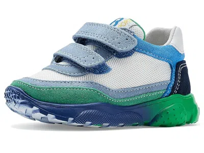 Naturino Falcotto Amantea 2 Vl (toddler/little Kid) Boys Shoes Celeste : Eu 24 (us 7.5 Toddler) M, Leather In Multi