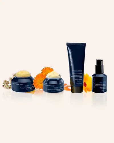 Naturopathica Barrier Repair Bundle In Transparent