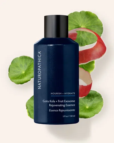 Naturopathica Gotu Kola + Fruit Exosome Rejevunating Essence In 5.0 oz