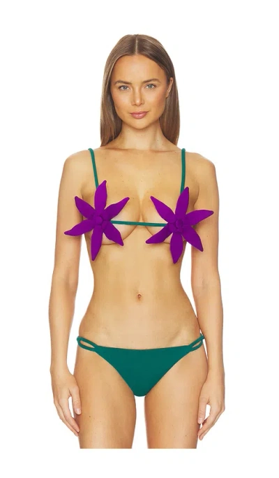 Nau Bikinis Petal Bikini Top In Purple