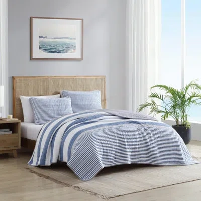 Nautica Fairwater Cotton Reversible Blue Quilt Set In Blue;gray