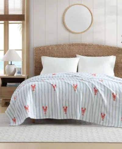 Nautica Lobster Watercolor Stripes Plush Blanket In Blue