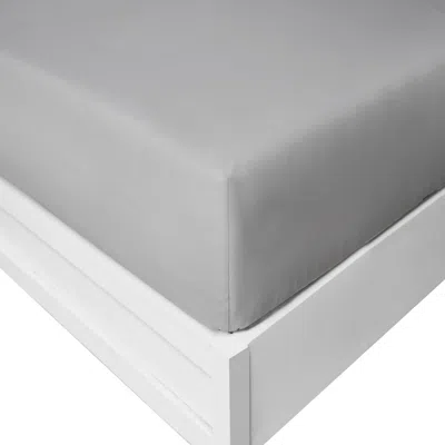 Nautica Solid Grey Queen Fitted Sheet In Gray