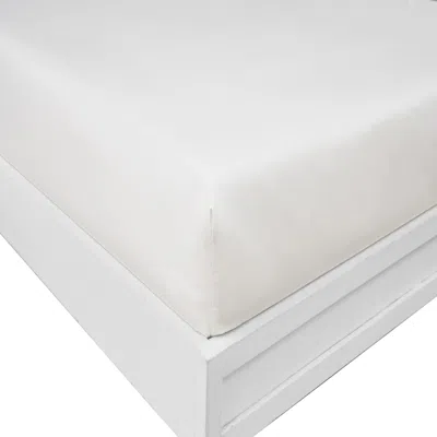 Nautica Solid White Twin Xl Fitted Sheet In Neutral