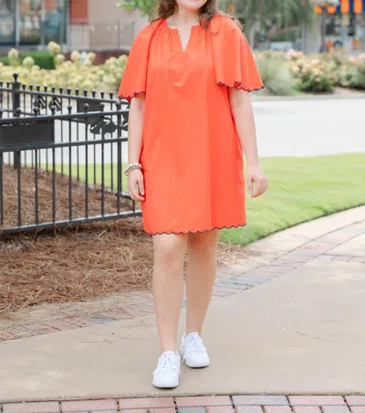 NAVYBLEU HARBOR SCALLOP DRESS IN POPPY