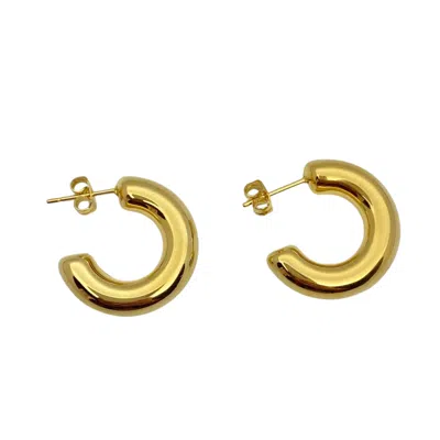Nazzar Women's Classic Gold Hoop Earrings