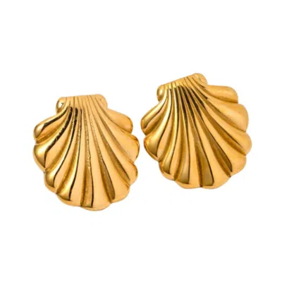 Nazzar Women's Large Gold Shell Earrings
