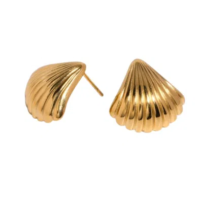Nazzar Women's Small Shell Ribbed Gold Earrings