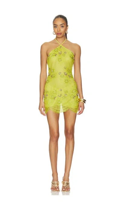 Nbd Nimrata Mini Dress In Green