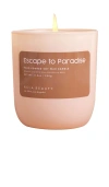 Ncla Escape To Paradise Soy Waxed Candle In Coconut Vanilla