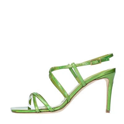 Ncub Sandals Green In Verde Blu E Verdi