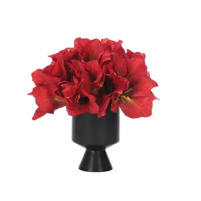 Ndi Amaryllis, Red, Ceramic Vase, 15wx15dx14h
