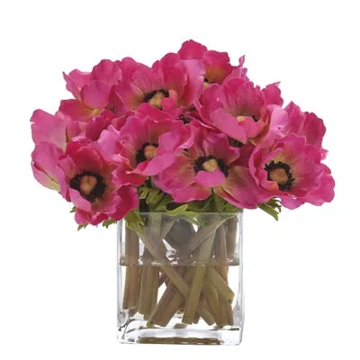 Ndi Anemone, Fuchsia, Glass Cube, 11wx10dx9h In Black