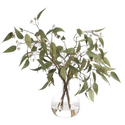 Ndi Eucalyptus, Green, Glass Jug, 29wx26dx23h In Multi