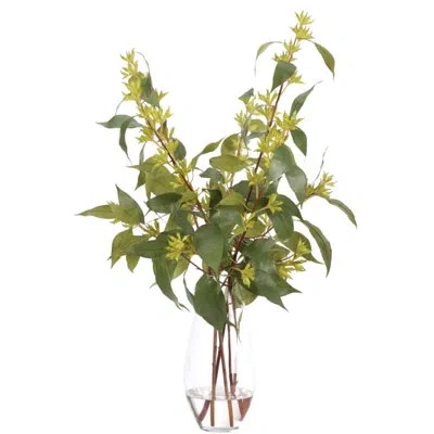 Ndi Eucalyptus, Green, Glass Vase, 23wx24dx34h
