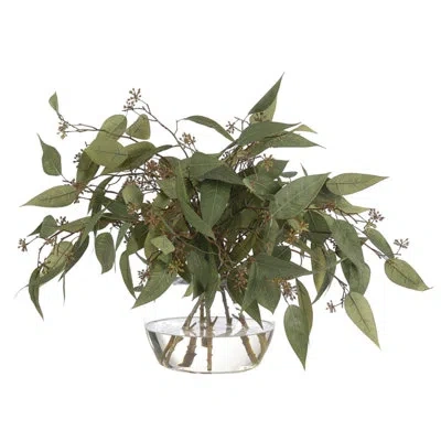 Ndi Eucalyptus, Green, Glass Vase, 24wx24dx19h