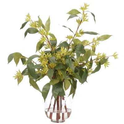 Ndi Eucalyptus, Green Glass Vase, 30wx25dx28h
