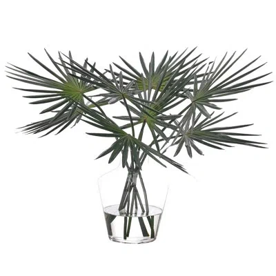Ndi Fan Palm, Glass Vase, 30wx26dx21h In Green