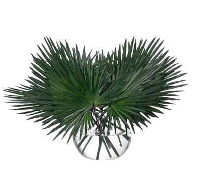 Ndi Fan Palm, Green, Glass Bubble, 34wx26dx28h