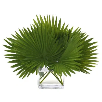 Ndi Fan Palm, Green, Glass Cube, 22wx15dx16h