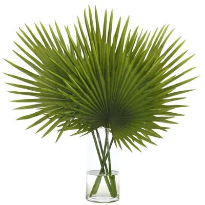 Ndi Fan Palm, Green, Glass Cylinder, 27wx22dx29d