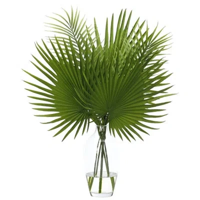 Ndi Fan Palm, Green, Glass Vase, 23wx16dx29h
