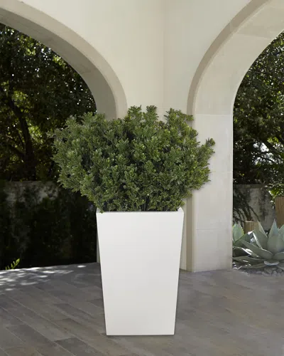 Ndi Faux Boxwood Plant In Tapered Rectangular Planter, 60"t In Green