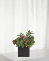 Ndi Faux Succulent Plant In Ceramic Cube Planter In Green