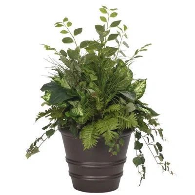 Ndi Fern Dieffenbachia, Orbit Planter Mocha In Green