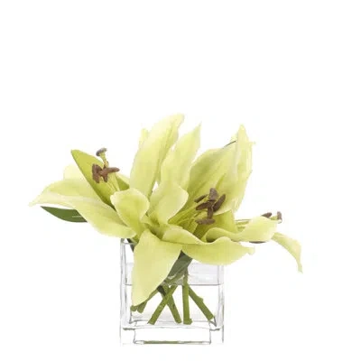Ndi Final Sale Lily Casablanca, Green, Glass Vase, 13wx13dx9h