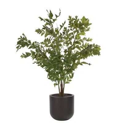 Ndi Fishtail Palm, Dome Planter Mocha In Green
