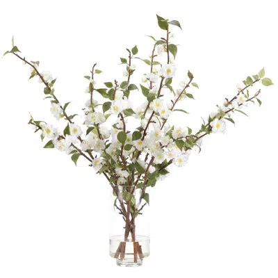 Ndi Japanese Cherry Blossom, White, Glass Vase, 35wx26dx34h