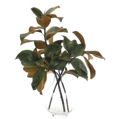 Ndi Magnolia Branch, Drop In, Glass Vase, 20wx15dx23h In Green