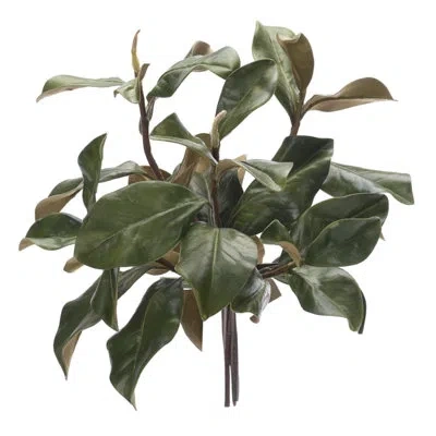 Ndi Magnolia Foliage, Green, Drop In, 16wx16dx16d