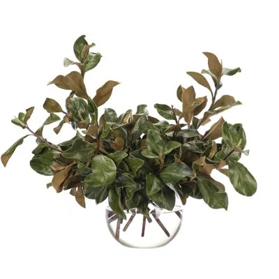 Ndi Magnolia Foliage, Green, Glass Bubble, 29wx22dx35h In Multi