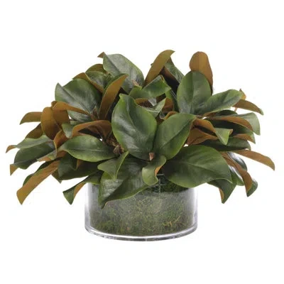 Ndi Magnolia Foliage, Moss Glass Bowl, 21wx19dx14h In Green