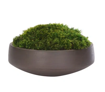 Ndi Moss Mound, Concrete Bowl, 12wx12dx7h