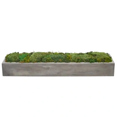 Ndi Moss Mound,rectangle Planter Concrete, 31.5wx7dx5.5h In Green