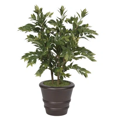 Ndi Nana, Orbit Planter Mocha, 39wx40dx5'h In Green