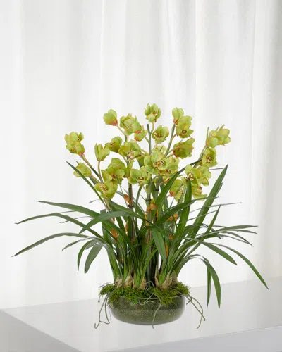 Ndi Orchid Cymbidium Moss Garden Faux-floral Arrangement In Glass Bowl, 40wx40dx35h In Green