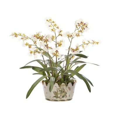 Ndi Orchid Oncidium, Cream Yellow, Ceramic Bowl, 31wx29dx29h In White
