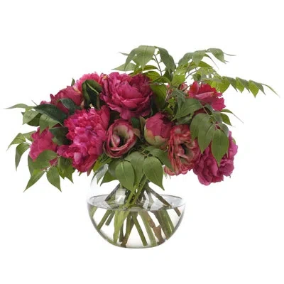 Ndi Peony Ranunculus, Fuchsia Burgundy, Glass Bubble, 22wx16dx17 In Pink