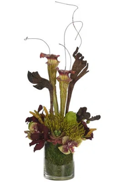 Ndi Protea Lily, Green, Burgundy, Moss Glass Cylinder, 11wx10dx2