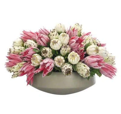 Ndi Protea, Pink Green, Concrete Bowl In Multi