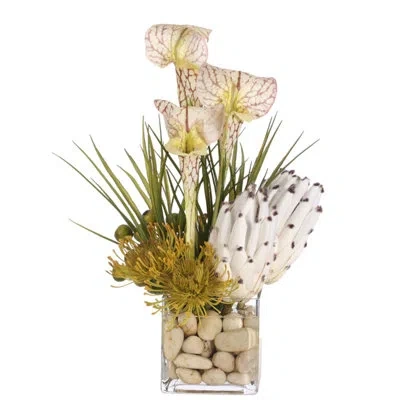 Ndi Protea Pitcher Plant, Green White, Glass Cube In Black
