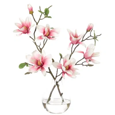 Ndi Real-touch Magnolia, Pink, Glass Bulb Vase, 19wx9dx22h