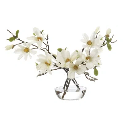 Ndi Real-touch Magnolia, White, Glass Vase, 25wx17dx17h